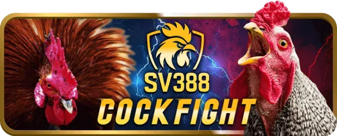 Đá Gà Thái Lan web88 app